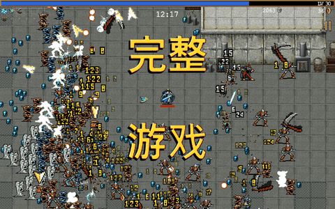 吸血鬼幸存者手机版