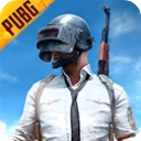 pubg手游体验服官方版下载
